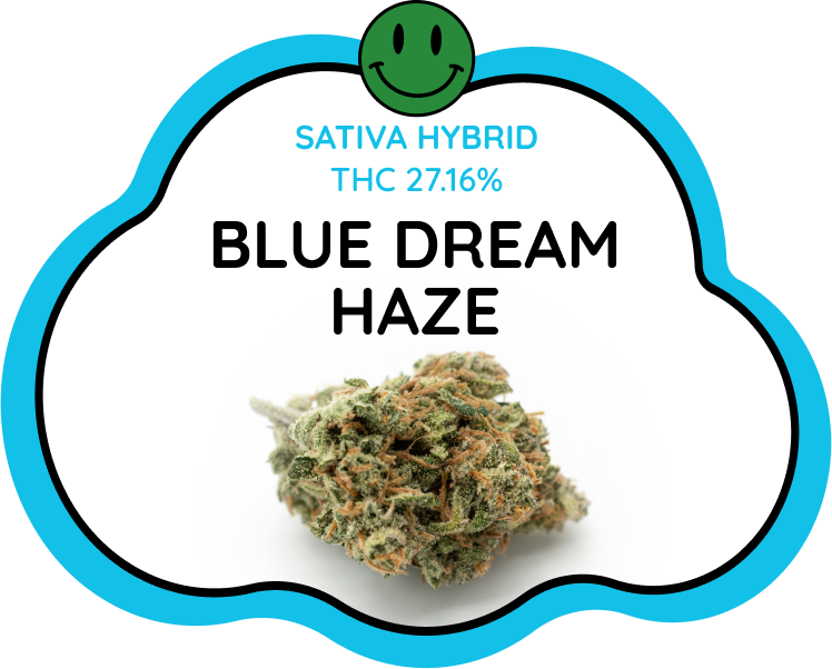 Blue dream haze strain