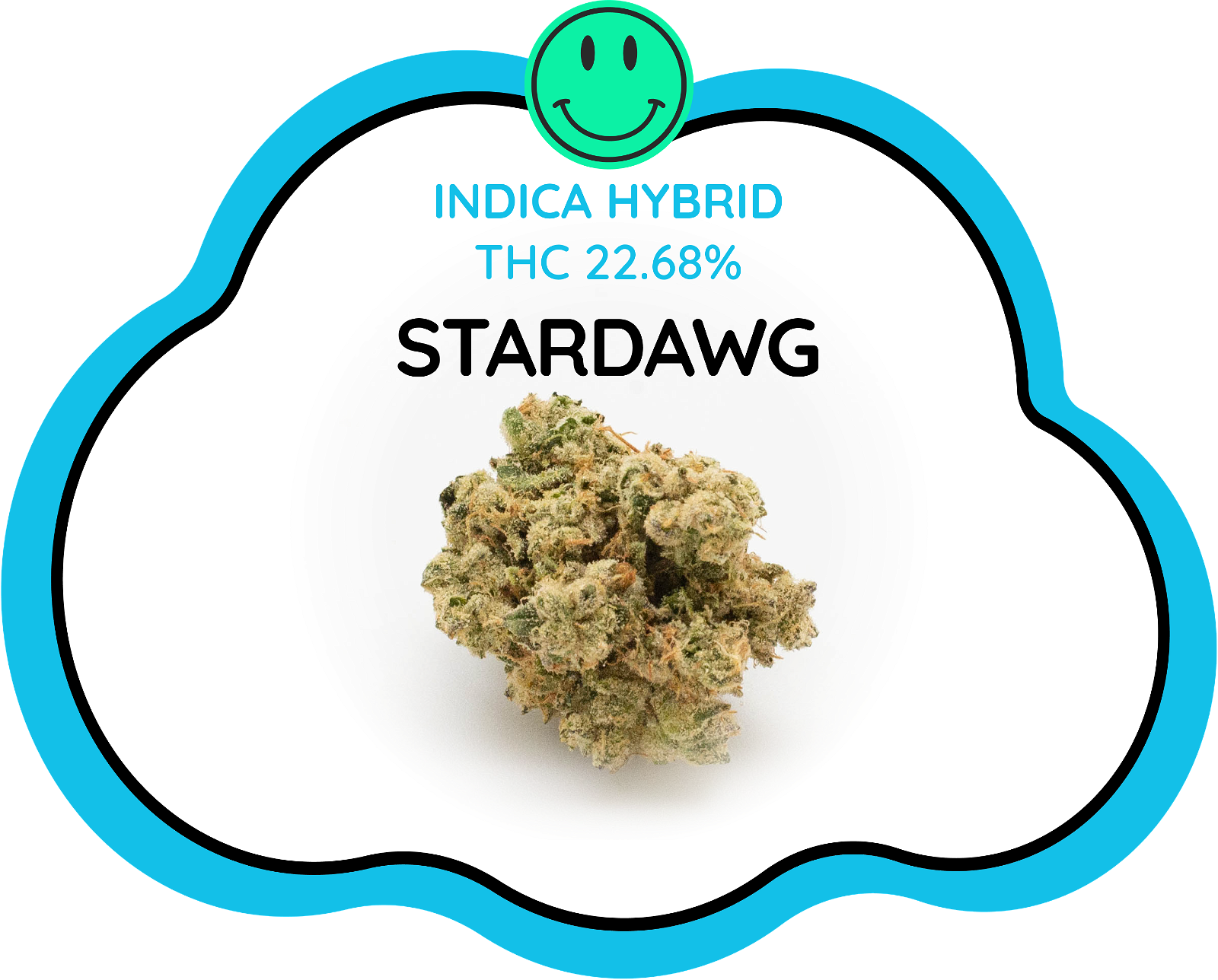 Stardawg Review