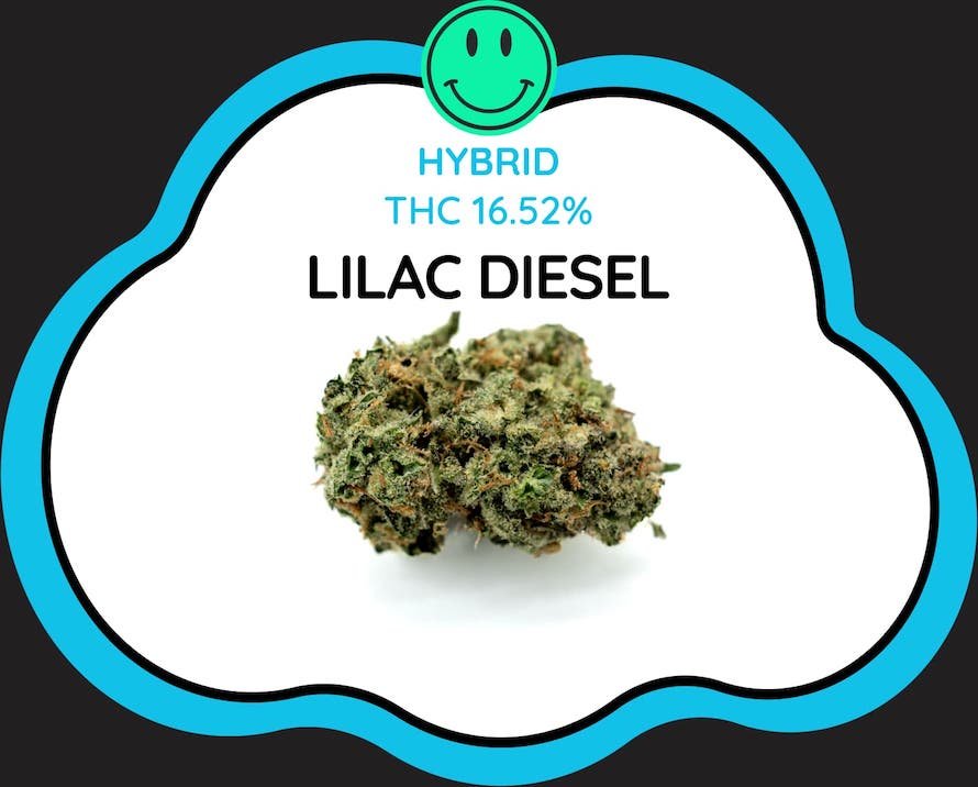 Lilac Diesel