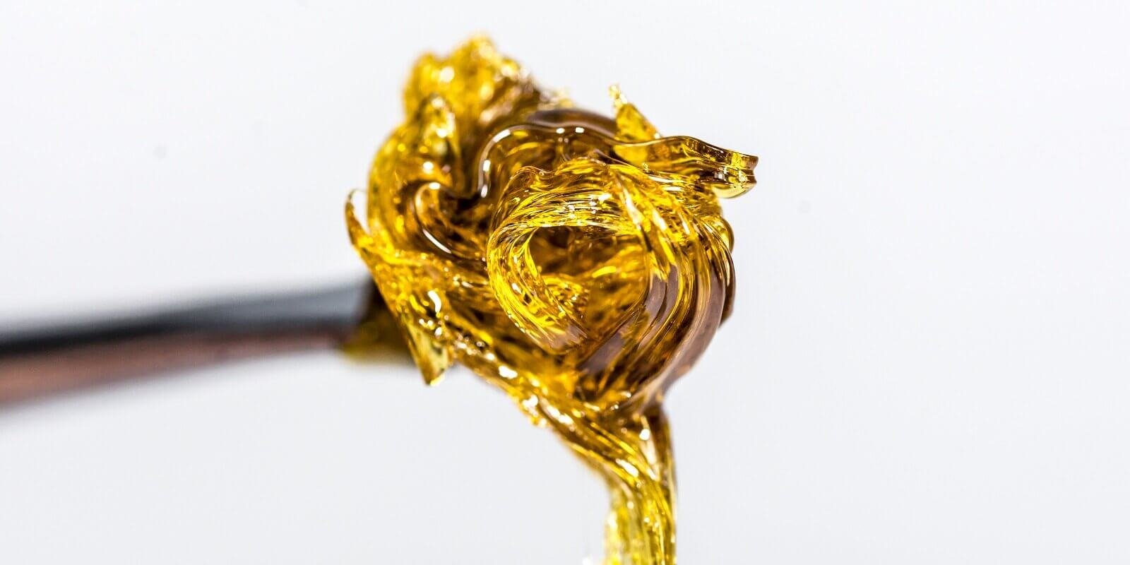 Cannabis Shatter in 2024